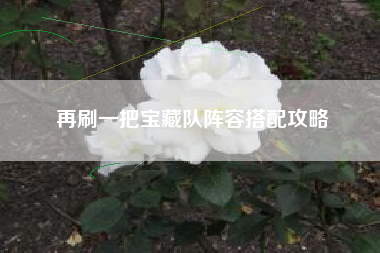 再刷一把宝藏队阵容搭配攻略
