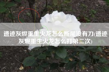 遗迹灰烬重生火龙怎么断尾没有刀(遗迹灰烬重生火龙怎么打第二次)