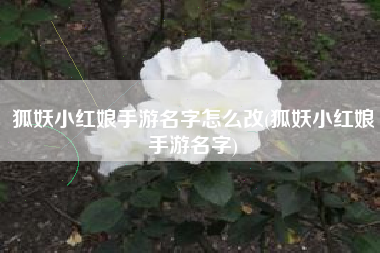 狐妖小红娘手游名字怎么改(狐妖小红娘手游名字)