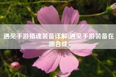 遇见手游猎魂装备详解(遇见手游装备在哪合成)