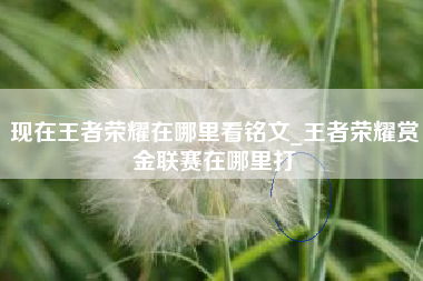 现在王者荣耀在哪里看铭文_王者荣耀赏金联赛在哪里打