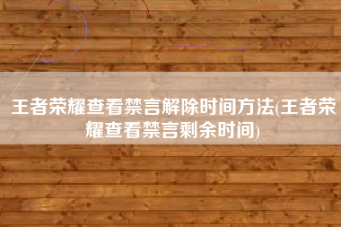 王者荣耀查看禁言解除时间方法(王者荣耀查看禁言剩余时间)