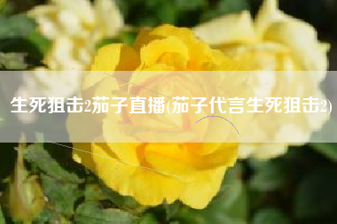 生死狙击2茄子直播(茄子代言生死狙击2)