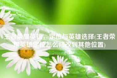 王者荣耀英雄，定位与英雄选择(王者荣耀英雄定位怎么修改到其他位置)