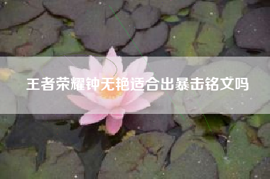 王者荣耀钟无艳适合出暴击铭文吗