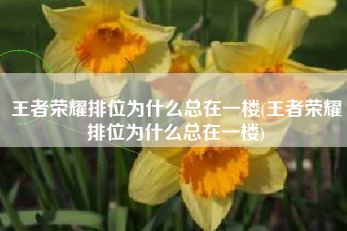 王者荣耀排位为什么总在一楼(王者荣耀排位为什么总在一楼)