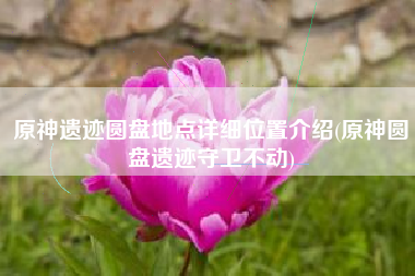 原神遗迹圆盘地点详细位置介绍(原神圆盘遗迹守卫不动)