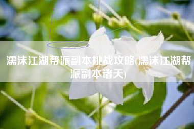 濡沫江湖帮派副本挑战攻略(濡沫江湖帮派副本诸天)