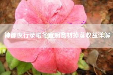 神都夜行录暖冬宜厨食材掉落收益详解