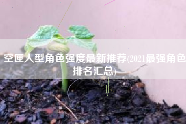 空匣人型角色强度最新推荐(2021最强角色排名汇总)
