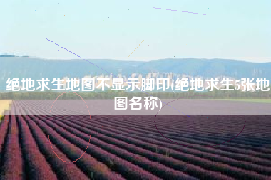 绝地求生地图不显示脚印(绝地求生5张地图名称)