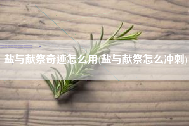 盐与献祭奇迹怎么用(盐与献祭怎么冲刺)