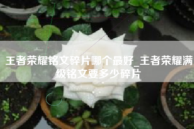 王者荣耀铭文碎片哪个最好_王者荣耀满级铭文要多少碎片