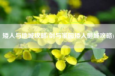 矮人与地城攻略(剑与家园矮人砸城攻略)