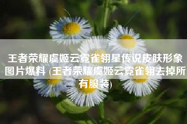 王者荣耀虞姬云霓雀翎星传说皮肤形象图片爆料 (王者荣耀虞姬云霓雀翎去掉所有服装)