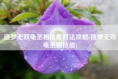 造梦无双龟丞相技能打法攻略(造梦无双龟丞相技能)