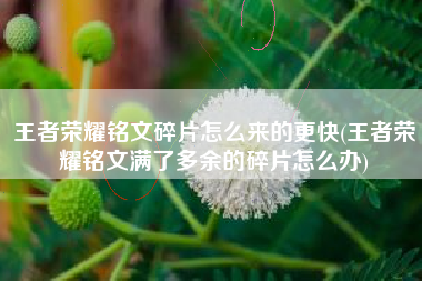 王者荣耀铭文碎片怎么来的更快(王者荣耀铭文满了多余的碎片怎么办)