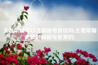 王者荣耀可以注销账号退钱吗(王者荣耀无限时间账号免费的)