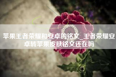 苹果王者荣耀和安卓的铭文_王者荣耀安卓转苹果皮肤铭文还在吗