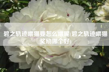 碧之轨迹喂猫要怎么喂呢(碧之轨迹喂猫奖励哪个好)