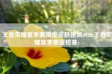 王者荣耀夏季赛限定皮肤返场2022(王者荣耀夏季赛资格赛)