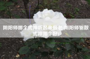 阴阳师哪个式神听起来最老(阴阳师驱散式神哪个好)