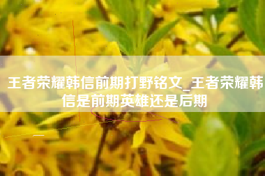 王者荣耀韩信前期打野铭文_王者荣耀韩信是前期英雄还是后期