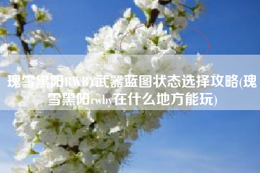瑰雪黑阳RWBY武器蓝图状态选择攻略(瑰雪黑阳rwby在什么地方能玩)