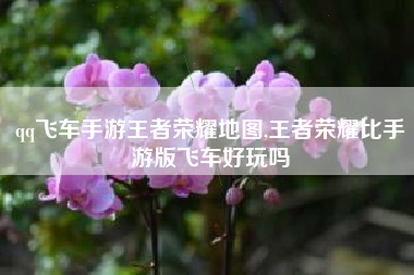 qq飞车手游王者荣耀地图,王者荣耀比手游版飞车好玩吗