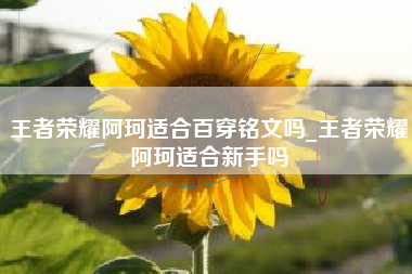 王者荣耀阿珂适合百穿铭文吗_王者荣耀阿珂适合新手吗