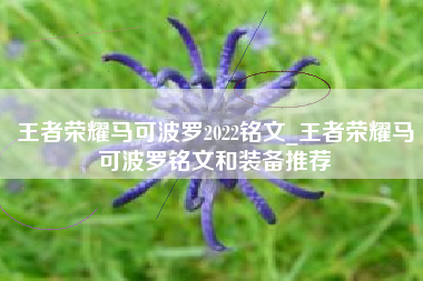 王者荣耀马可波罗2022铭文_王者荣耀马可波罗铭文和装备推荐