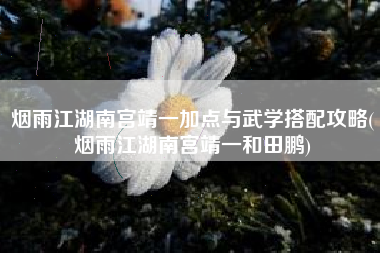 烟雨江湖南宫靖一加点与武学搭配攻略(烟雨江湖南宫靖一和田鹏)