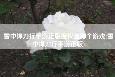 雪中悍刀行手游正版授权是哪个游戏(雪中悍刀行手游正版)