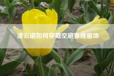 凌云诺如何穿戴空庭春晚服饰