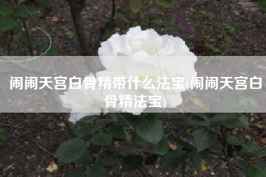 闹闹天宫白骨精带什么法宝(闹闹天宫白骨精法宝)