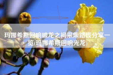 玛娜希斯回响破龙之祠采集路线分享一览(玛娜希斯回响光龙)