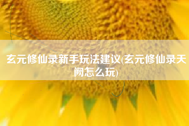 玄元修仙录新手玩法建议(玄元修仙录天阙怎么玩)