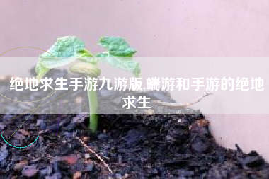 绝地求生手游九游版,端游和手游的绝地求生