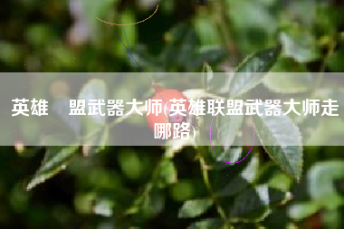 英雄聯盟武器大师(英雄联盟武器大师走哪路)