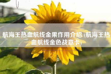 航海王热血航线金果作用介绍 (航海王热血航线金色战意卡)