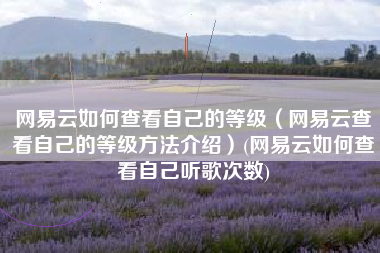 网易云如何查看自己的等级（网易云查看自己的等级方法介绍）(网易云如何查看自己听歌次数)