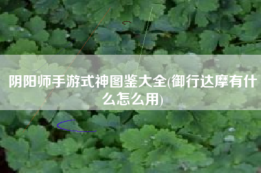 阴阳师手游式神图鉴大全(御行达摩有什么怎么用)