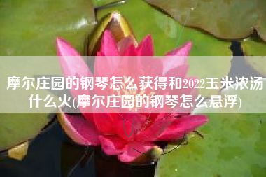 摩尔庄园的钢琴怎么获得和2022玉米浓汤什么火(摩尔庄园的钢琴怎么悬浮)