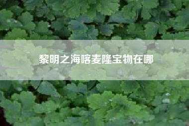黎明之海喀麦隆宝物在哪