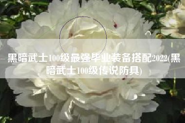 黑暗武士100级最强毕业装备搭配2022(黑暗武士100级传说防具)