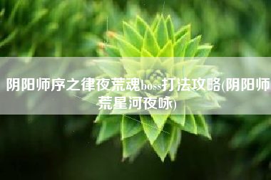 阴阳师序之律夜荒魂boss打法攻略(阴阳师荒星河夜咏)