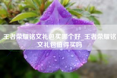 王者荣耀铭文礼包买哪个好_王者荣耀铭文礼包值得买吗