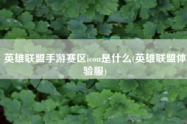 英雄联盟手游赛区icon是什么(英雄联盟体验服)