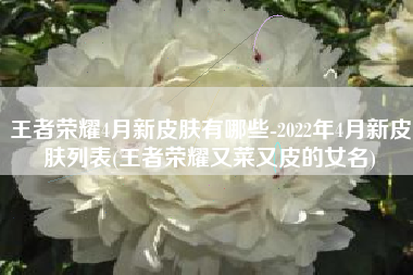 王者荣耀4月新皮肤有哪些-2022年4月新皮肤列表(王者荣耀又菜又皮的女名)