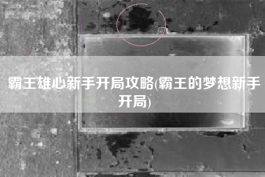 霸王雄心新手开局攻略(霸王的梦想新手开局)